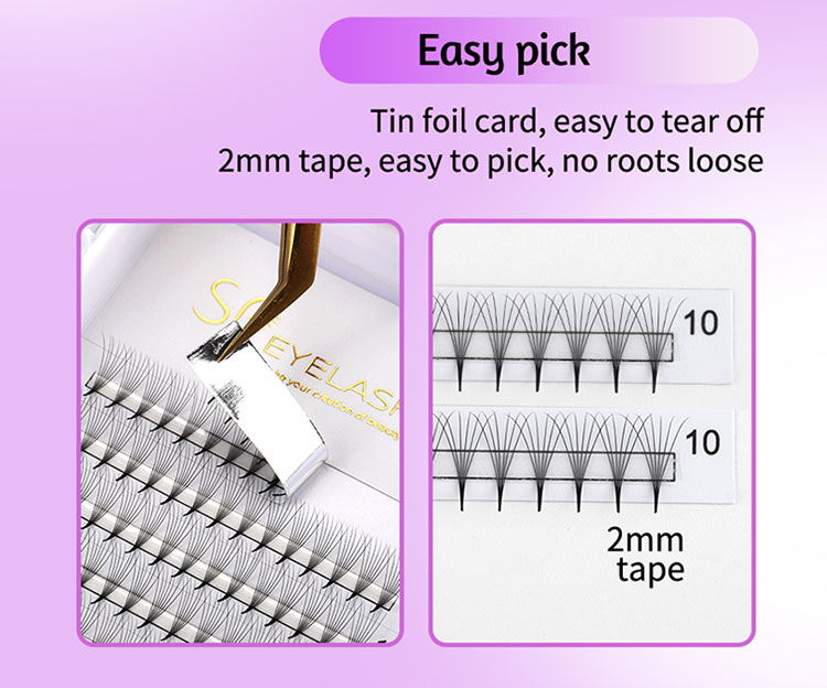 Eyelash Supplier