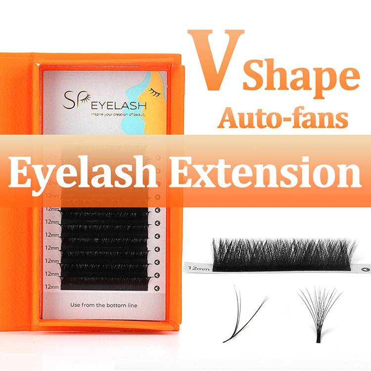 V Eyelash Extension